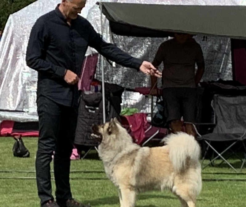 Jara kåret til Dansk og Veteran Champion